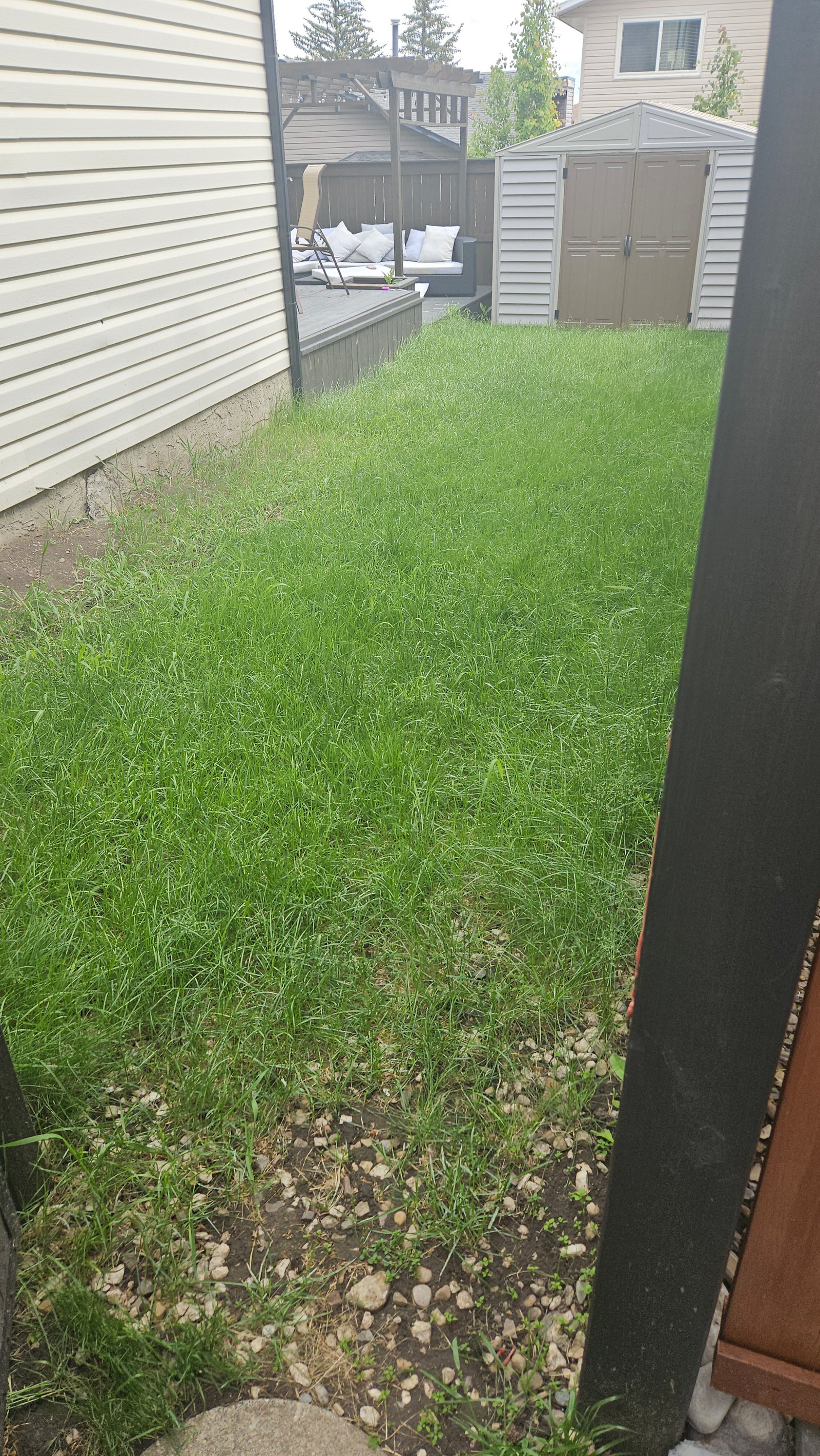 After lawn care