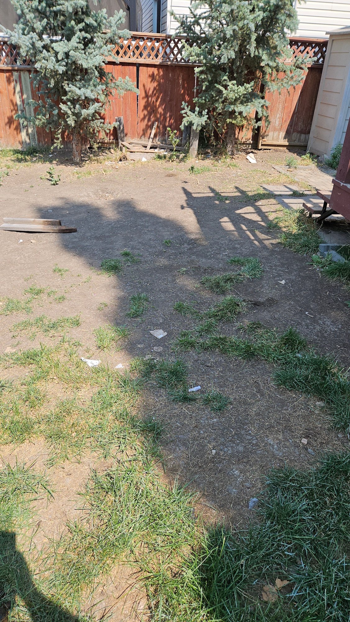 After lawn care